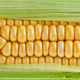 Illustration for article titled Controversial study linking genetically modified corn to cancer under attack by scientists